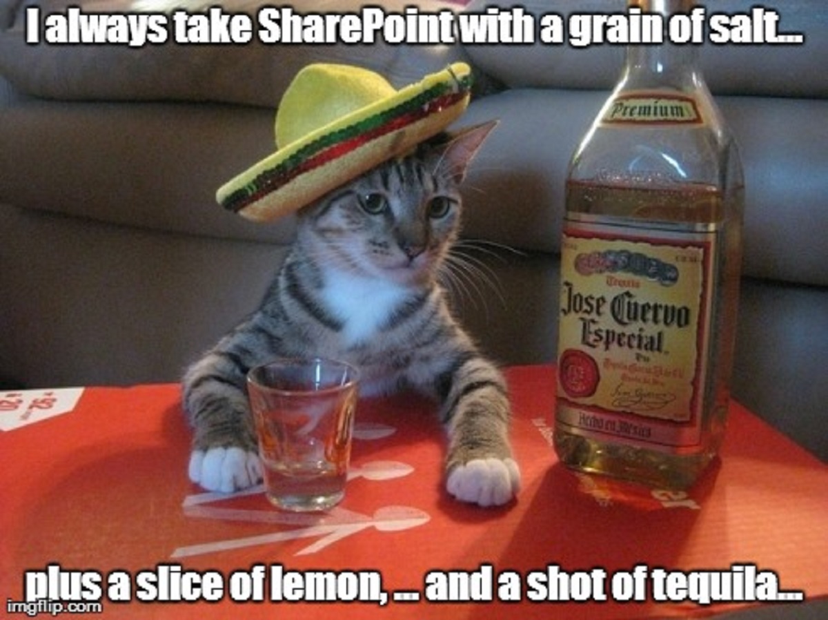 All the SharePoint Cats